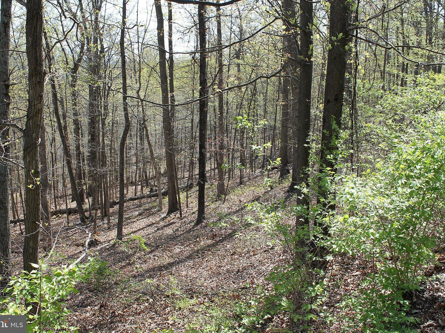 Hillandale Rd Front Royal, VA 22630 - Thumbnail 2