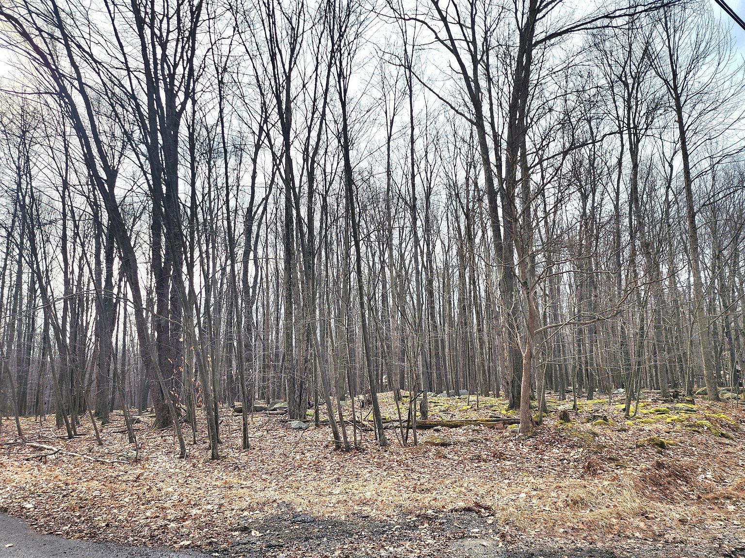 Saint Marc Rd LOT 408/409 Du Bois, PA 15801 - Thumbnail 2