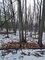 897 Pico Ln Tafton, PA 18464  | Land/Lot
