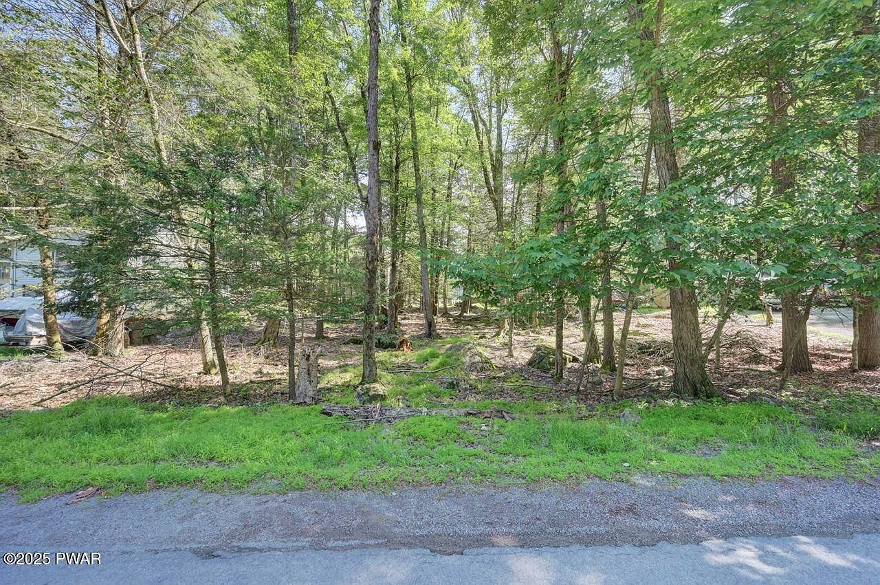 54 Wallenpaupack Dr Lake Ariel, PA 18436  | Land/Lot