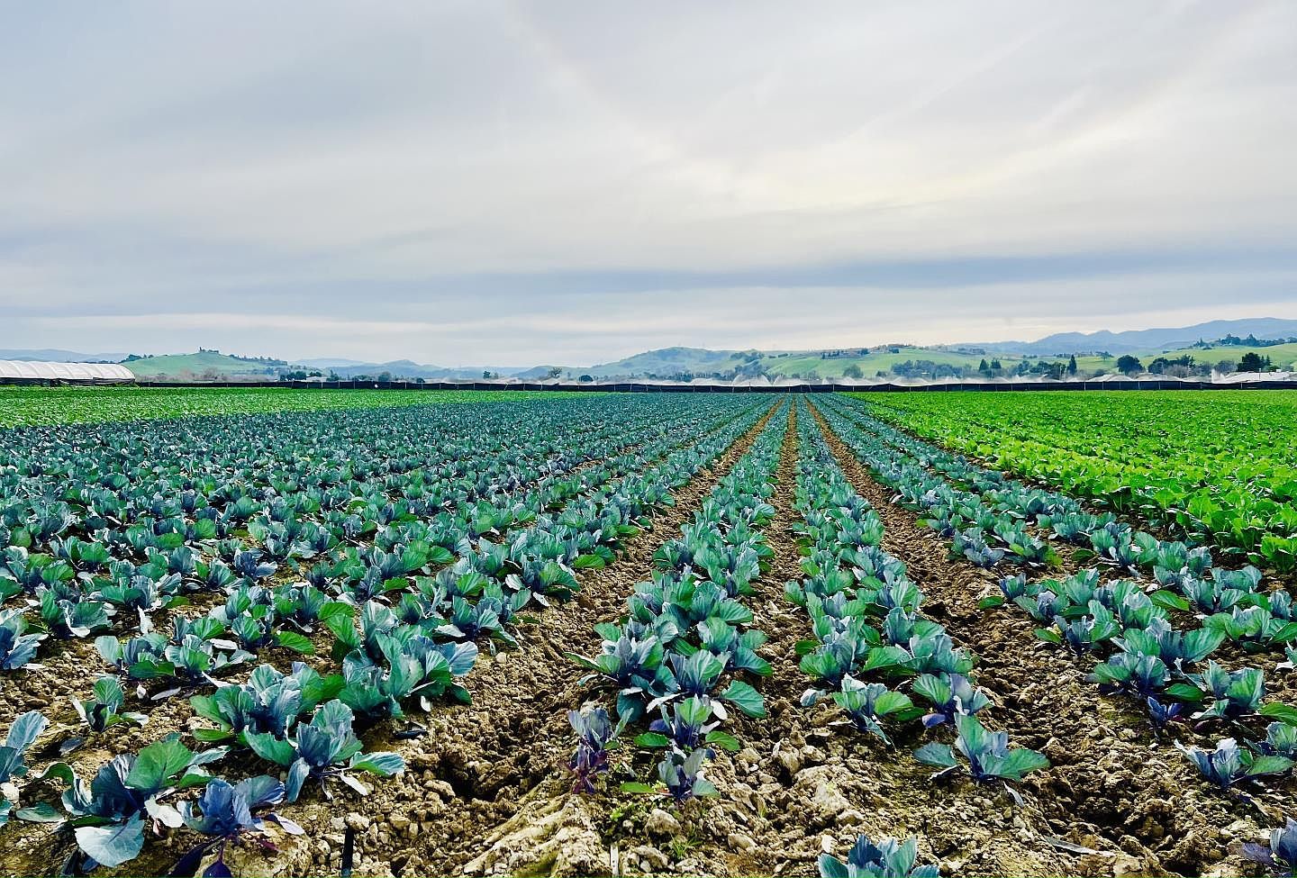 Riverside Hollister, CA 95023 - Thumbnail 2