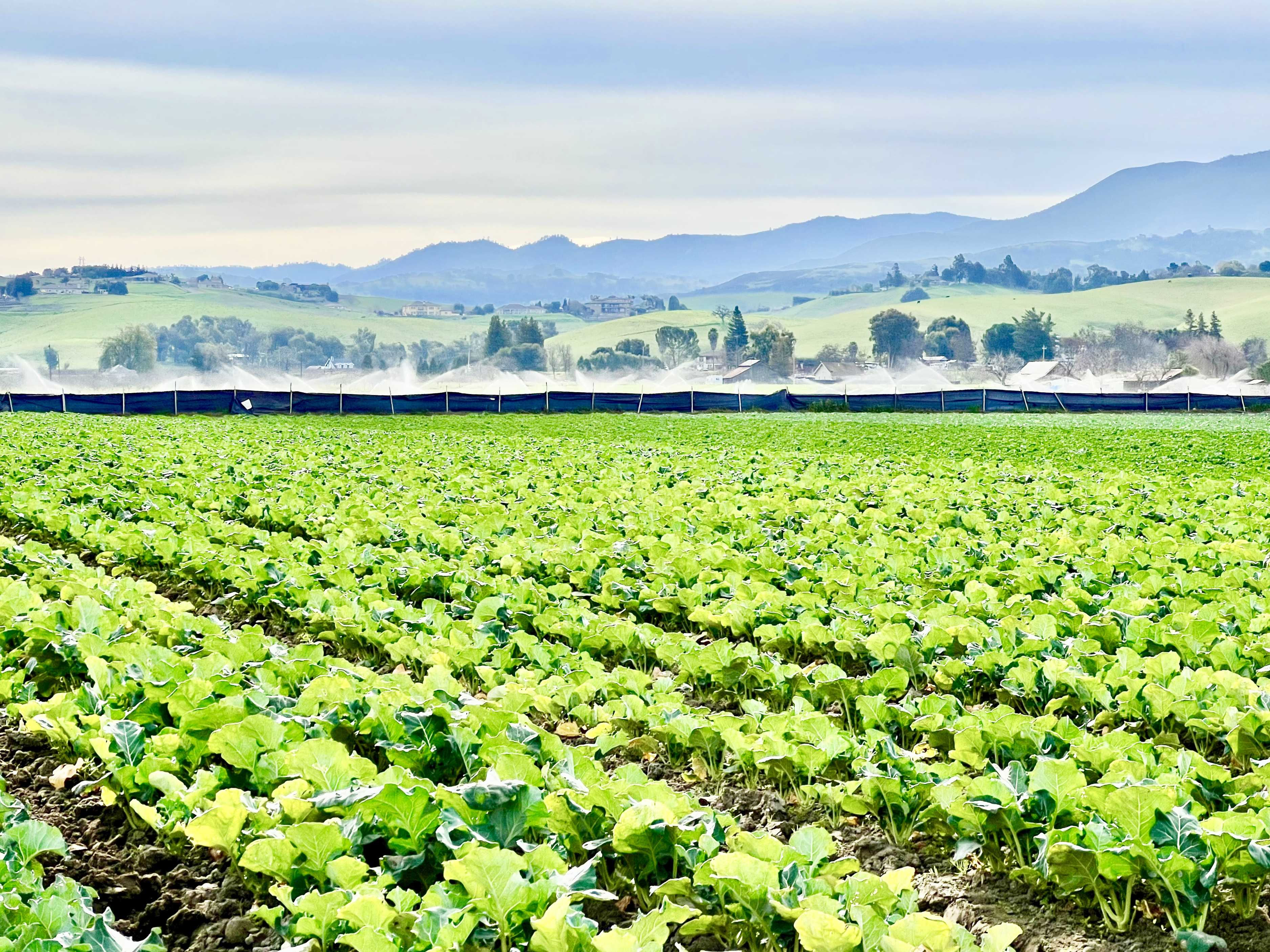 Riverside Hollister, CA 95023  | Land/Lot