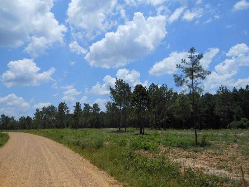 E Meade Rd, Pollock, LA, USA, 71467  | Land/Lot