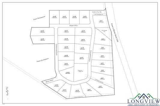 1.34 AC TBD FM 2208 LOT 1  | Land/Lot