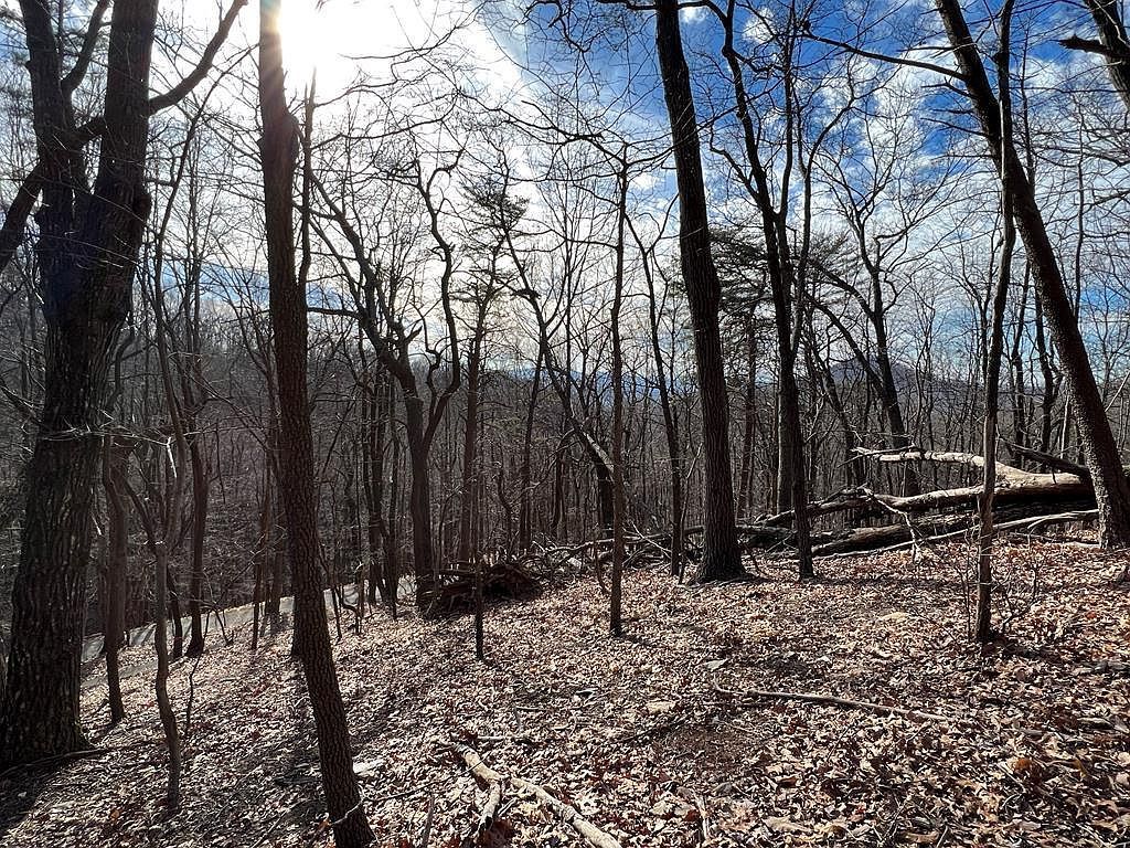 4528 Sassafras Mountain Trl Jasper, GA 30143 - Thumbnail 2