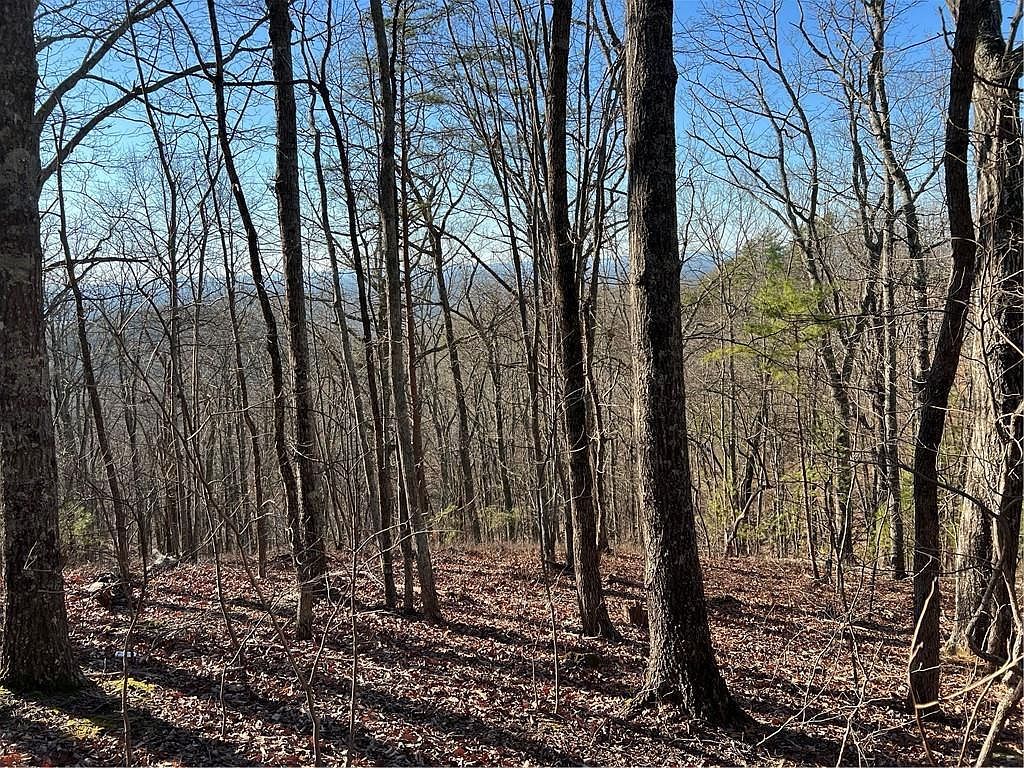 197 Stirratt Rd #197 Ranger, GA 30734 - Thumbnail 2