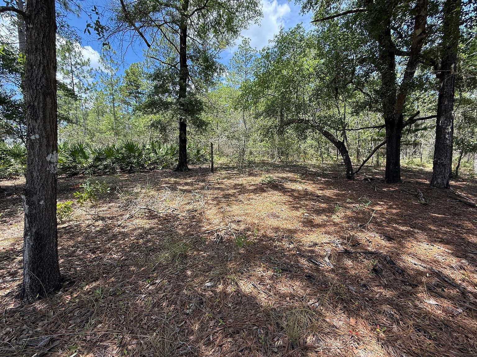 LOT 39 Clearwater Dr Defuniak Springs, FL 32433 - Thumbnail 2