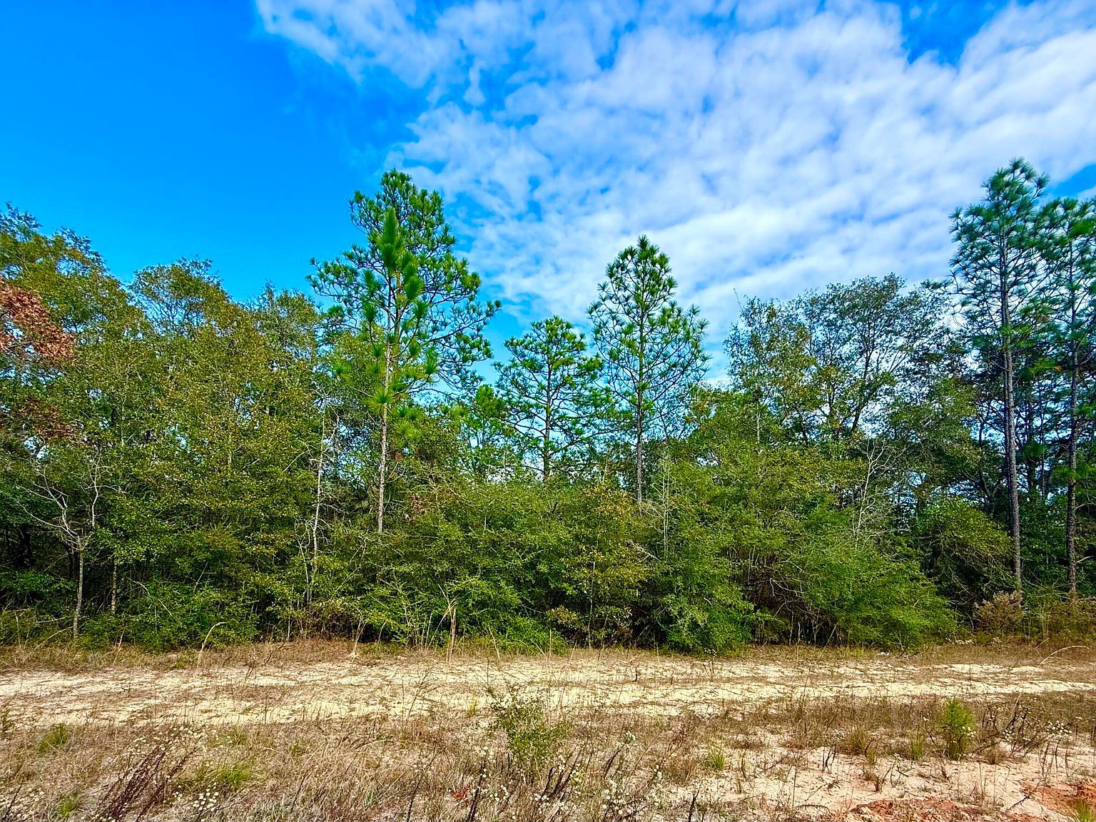 81 Puccini Dr Defuniak Springs, FL 32433 - Thumbnail 2