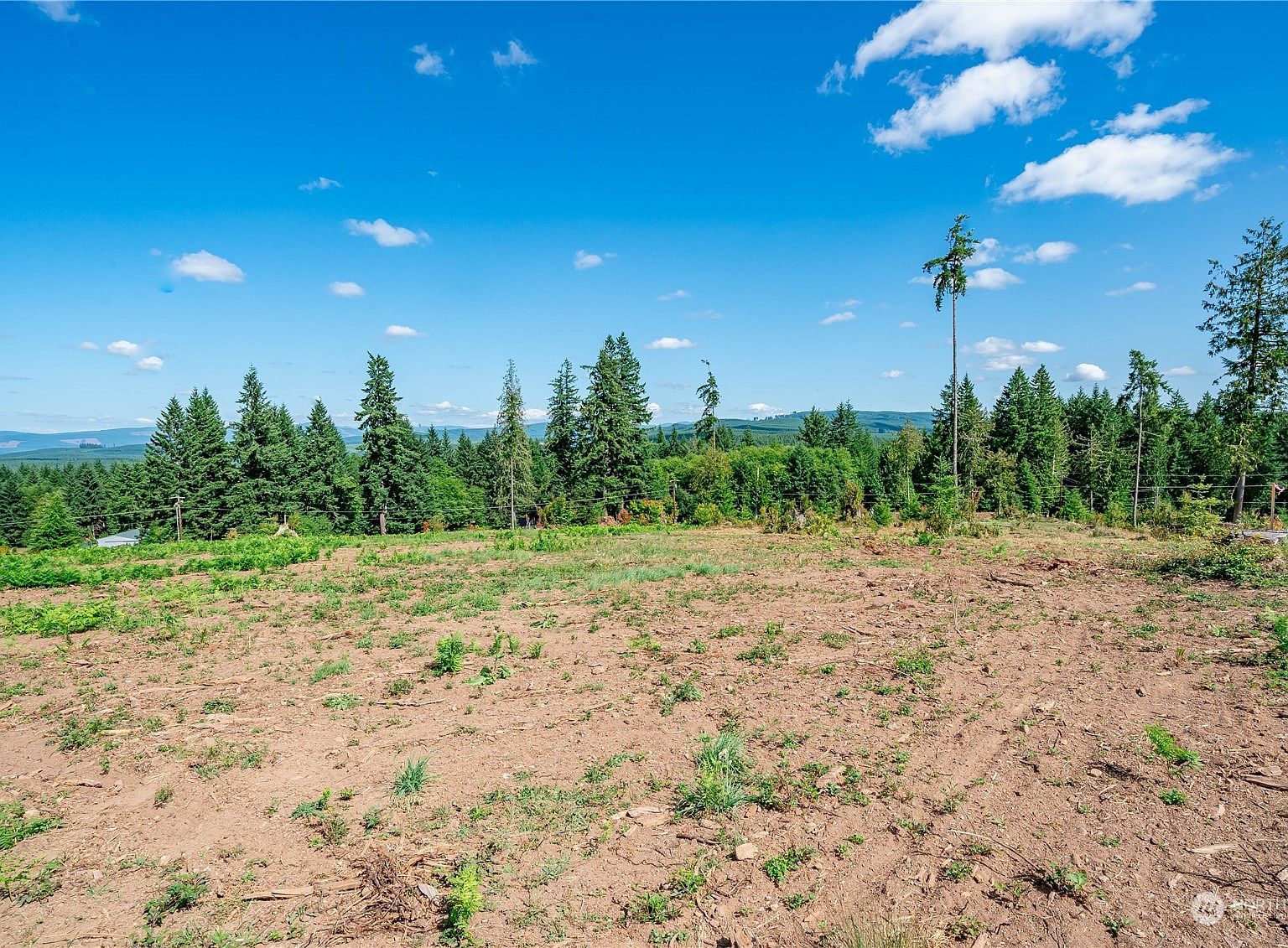 0 S Silver Lake Rd #6 Castle Rock, WA 98611 - Thumbnail 2