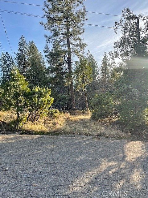 6172 Shad Way #47 Pollock Pines, CA 95726 - Thumbnail 2