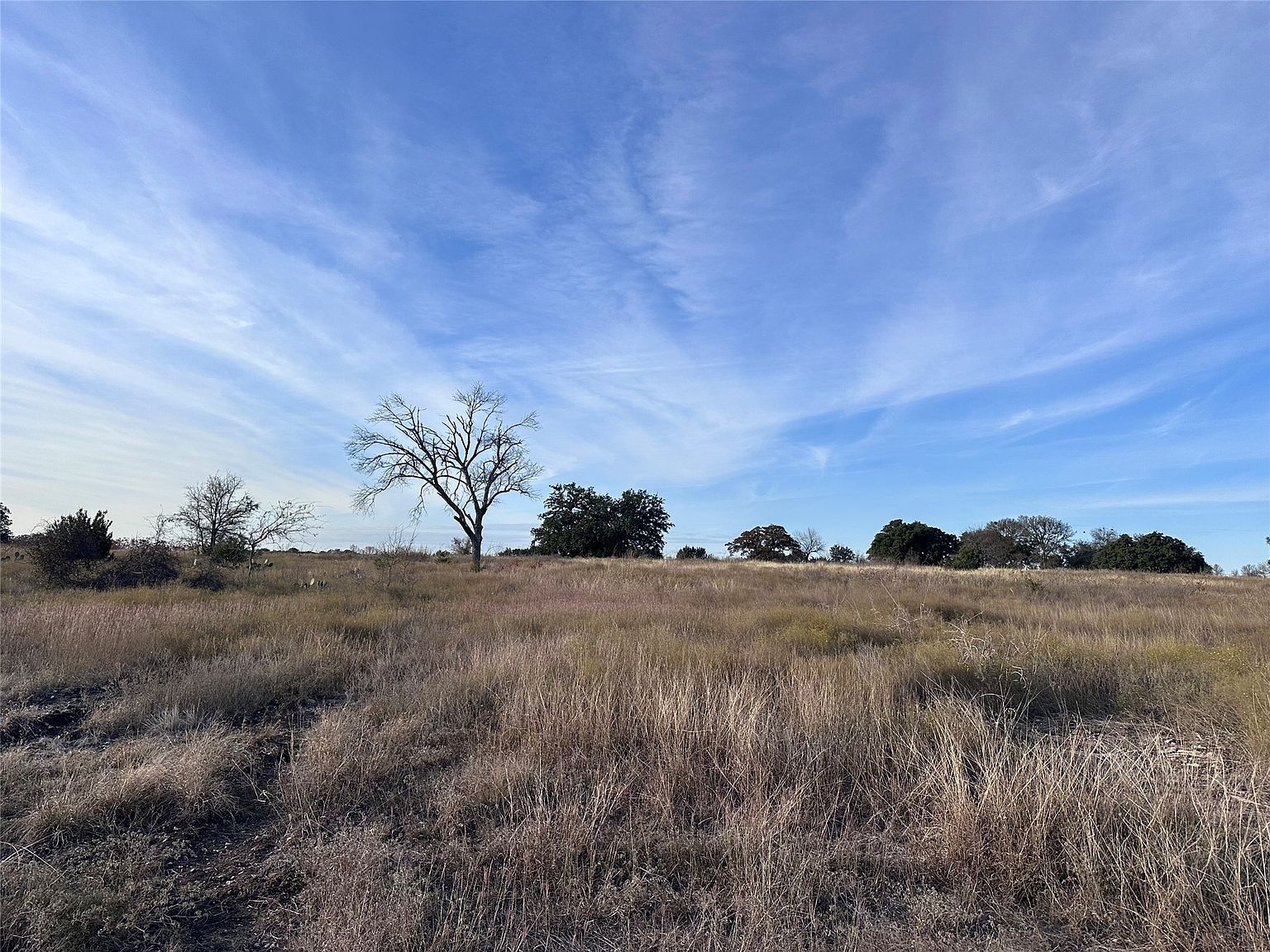 245 Grand Canyon Dr Oglesby, TX 76561  | Land/Lot