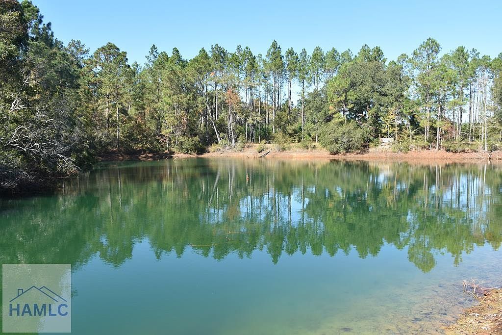 0 Barrett Cemetery Rd NE Ludowici, GA 31316 - Thumbnail 2