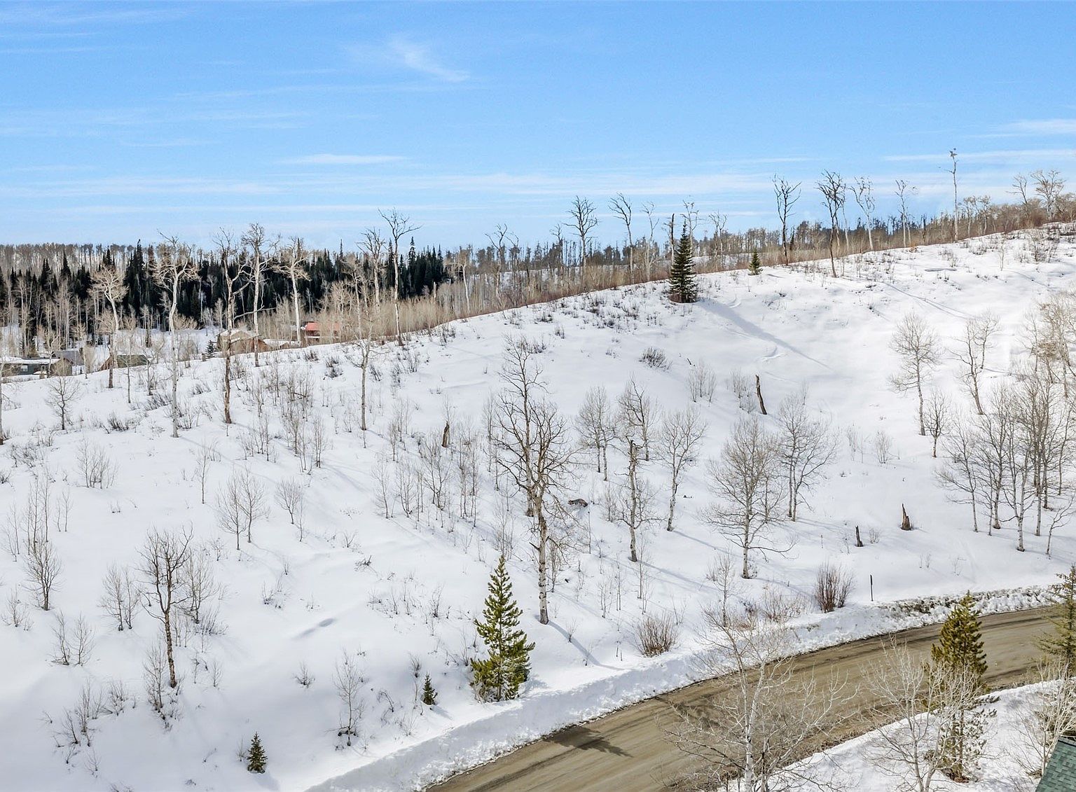 57615 Longfellow Way Clark, CO 80428 - Thumbnail 2