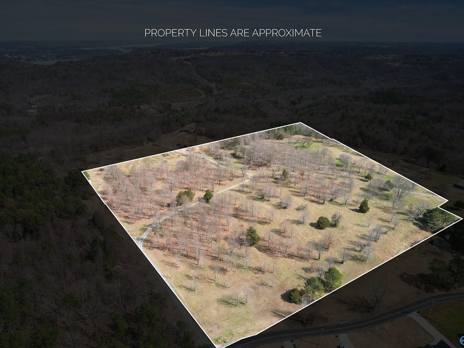 Wyeth Mountain Rd Guntersville, AL 35976 | Land/Lot