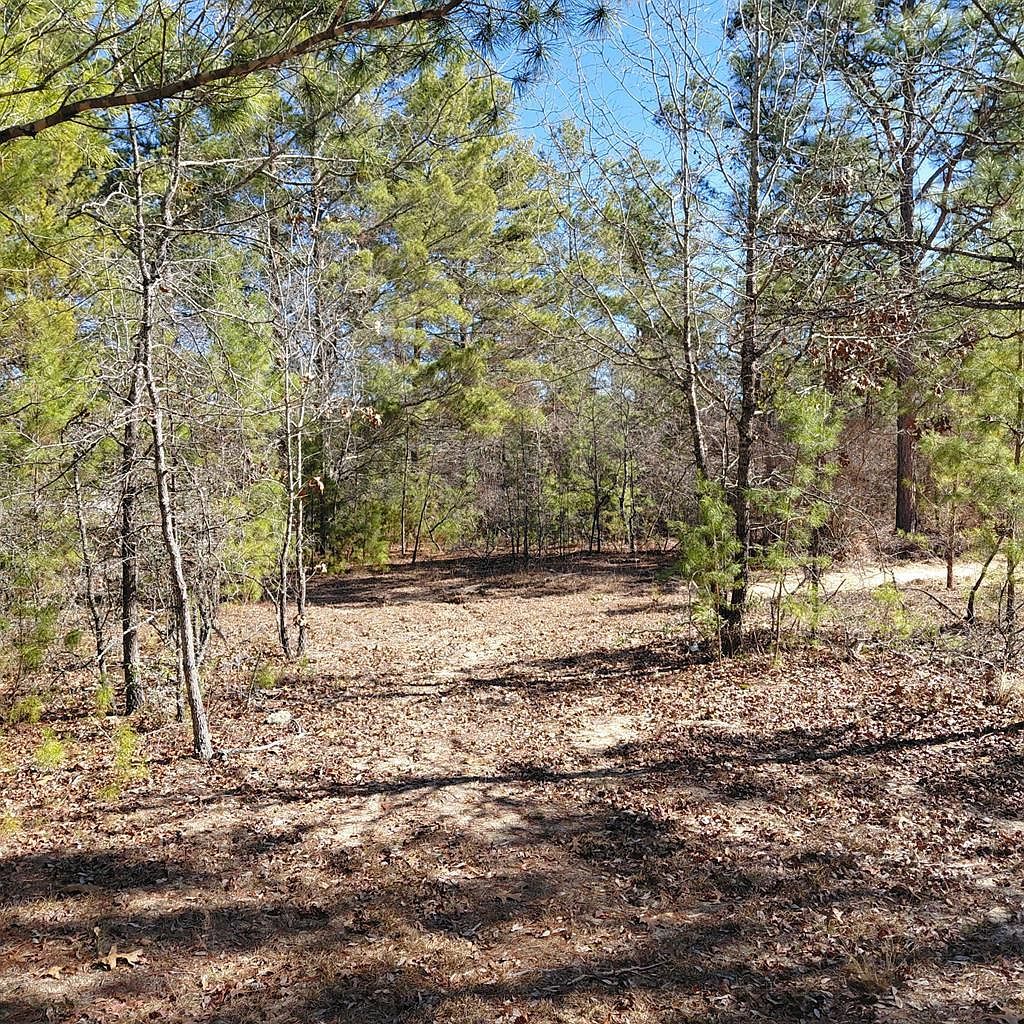 100 Sparrow Dr Box Springs, GA 31801  | Land/Lot