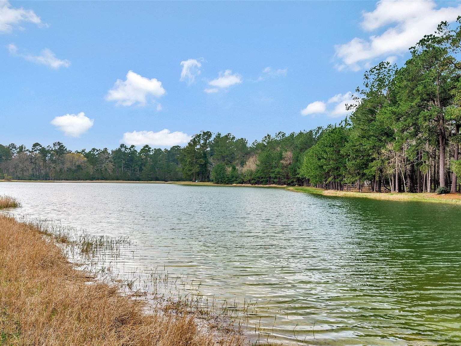 26500 Saddle Horn Dr Waller, TX 77484 - Thumbnail 2