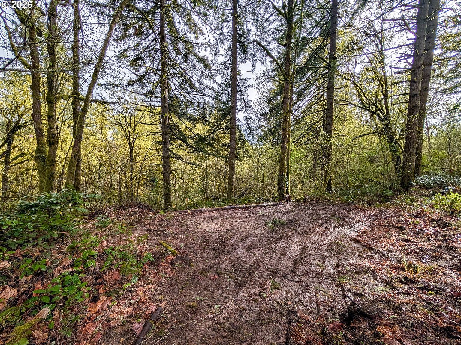 0 NE Finalburg Rd La Center, WA 98629, 98629