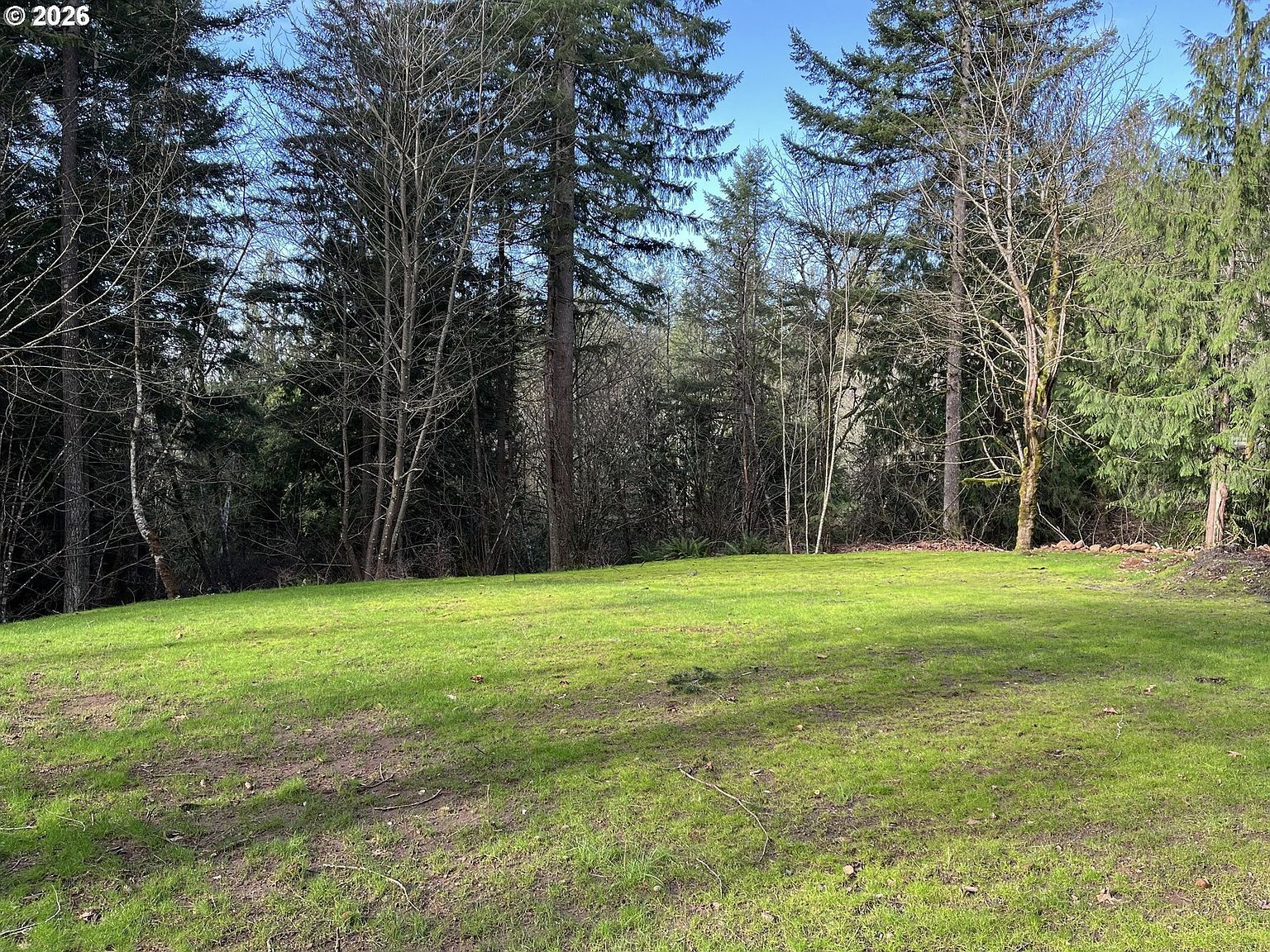 0 NE Schauer Dr Battle Ground, WA 98604, 98604
