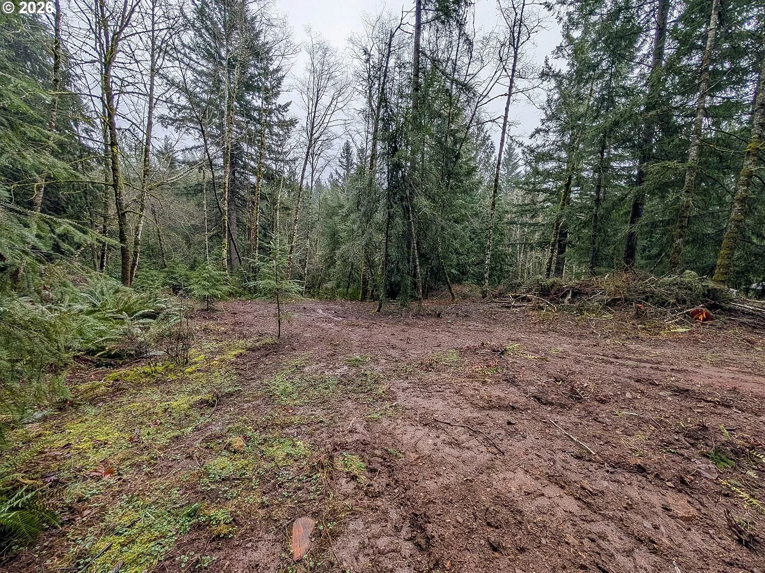 0 NE Berry Rd Battle Ground, WA 98604  | Land/Lot