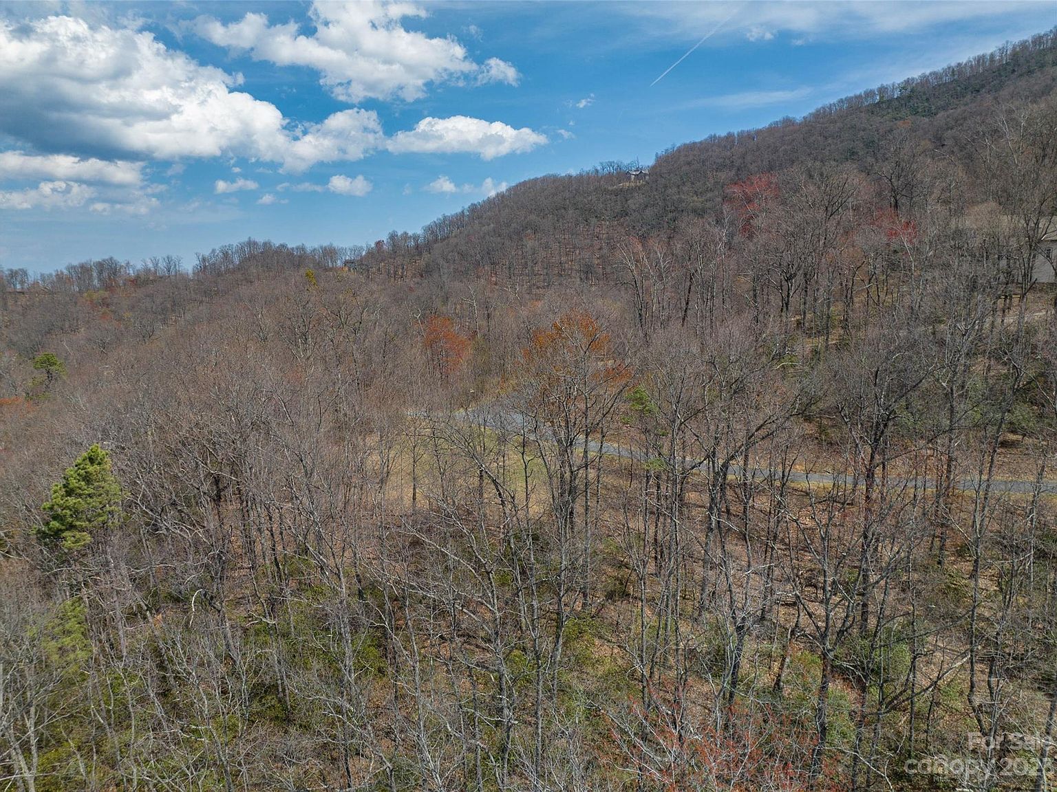 187 Arcadia Falls Way #77 Black Mountain, NC 28711 - Thumbnail 2