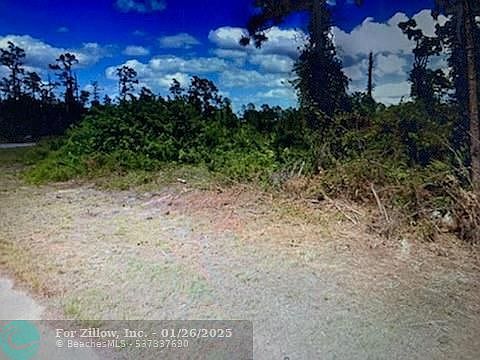 729 Ontario Ave S Lehigh Acres, FL 33974 - Thumbnail 2