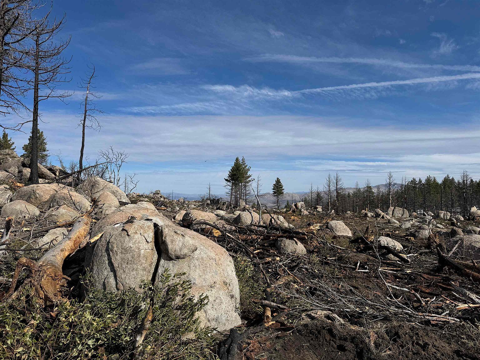 434-100 Diamond Mountain Rd Doyle, CA 96109 - Thumbnail 2