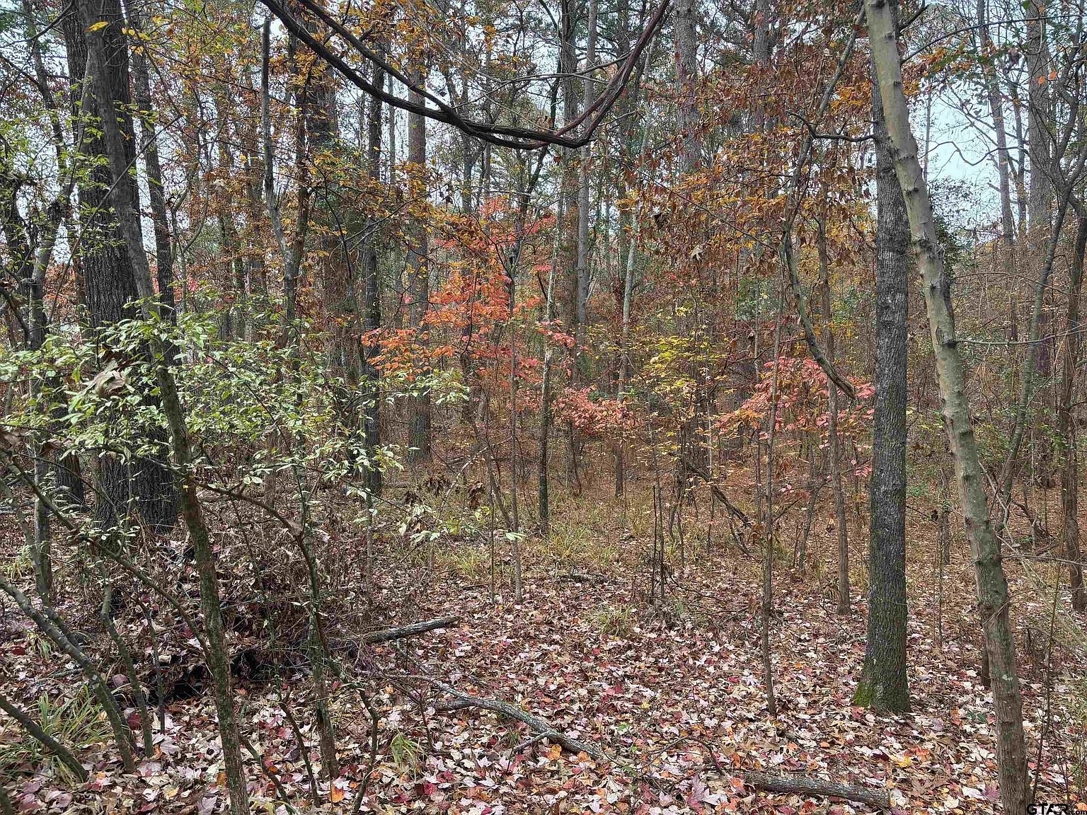 Porsche Dr Flint, TX 75762 - Thumbnail 2