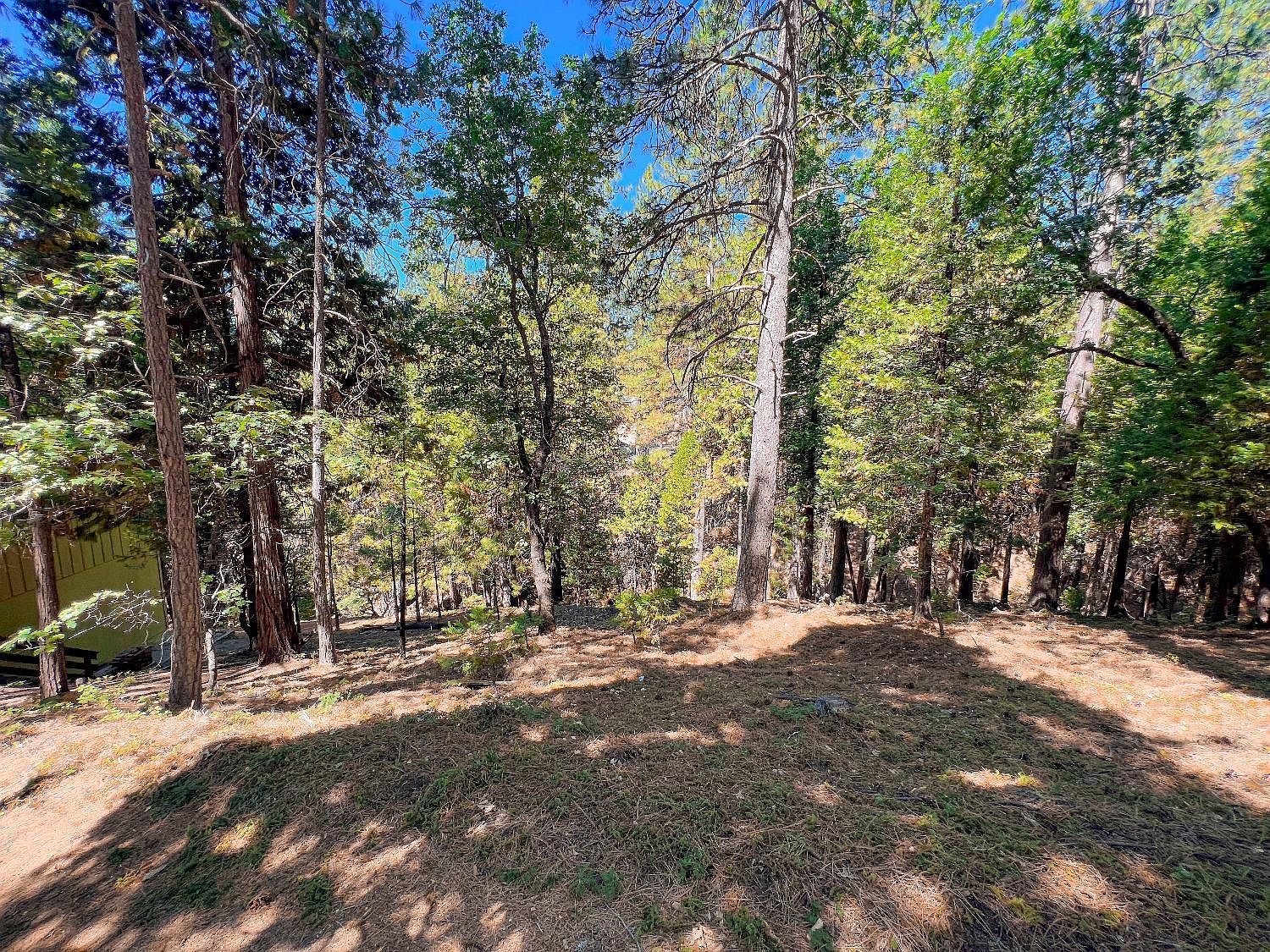 1800 Kit Carson Cir Arnold, CA 95223 - Thumbnail 2