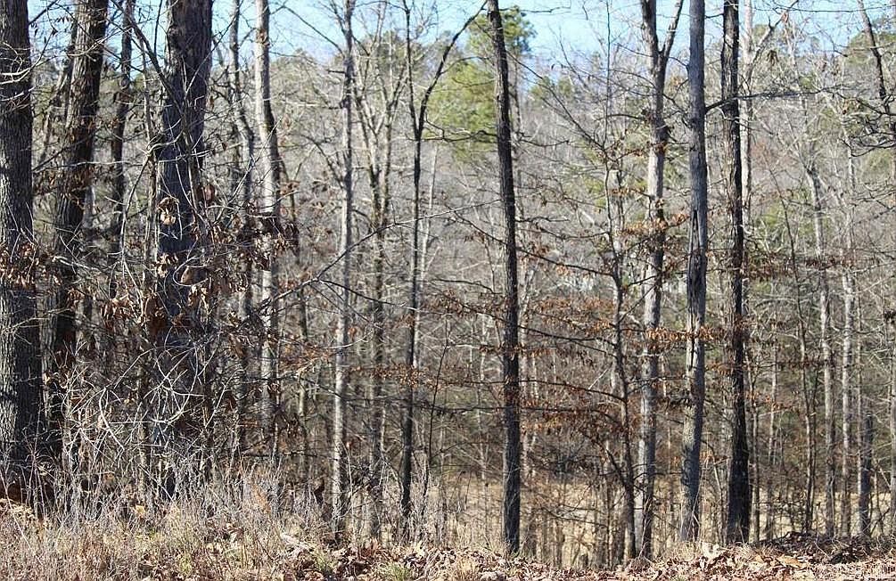1672 Westchester Ct Hot Springs National Park, AR 71913, 71913