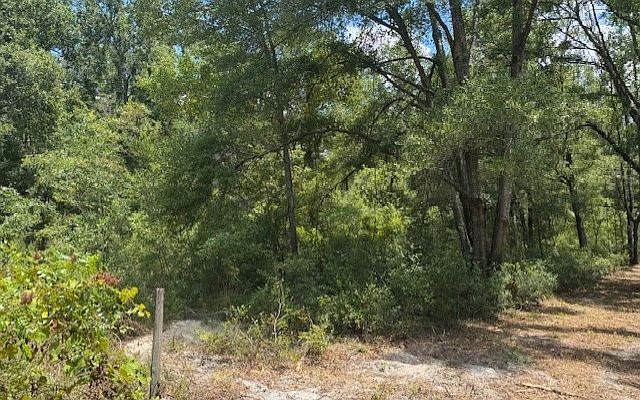 Tbd 208th St Obrien, FL 32071 - Thumbnail 2