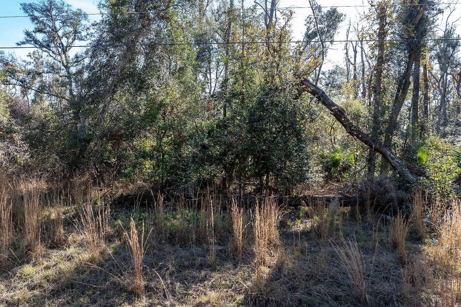 LOT 217th Trl Live Oak, FL 32060 - Thumbnail 2