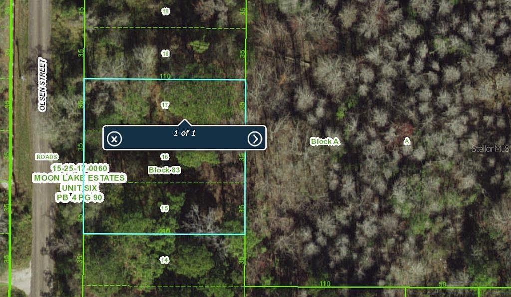 10736 Olsen St #15 New Pt Richey, FL 34654 - Thumbnail 2