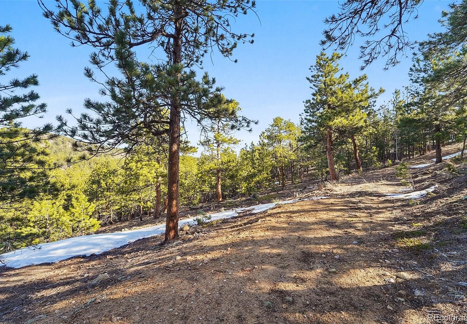 854 Crescent Lake Rd #29 Golden, CO 80403 - Thumbnail 2