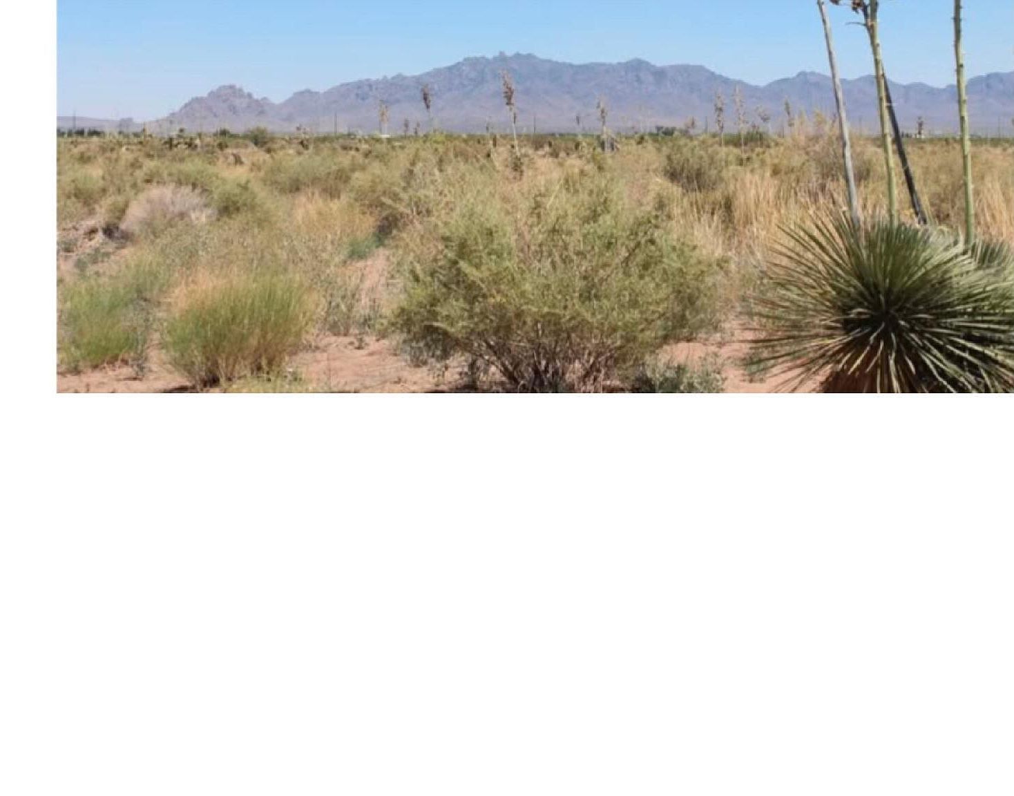 0 Paintbrush Rd SW Deming, NM 88030 - Thumbnail 2