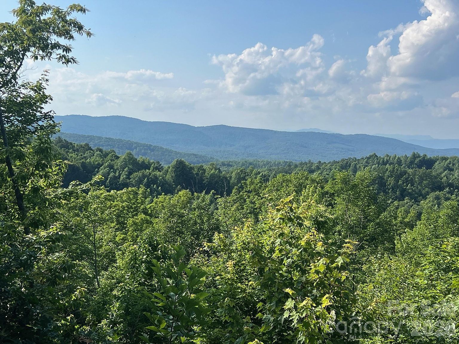 253 S Creek Rd Nebo, NC 28761  | Land/Lot