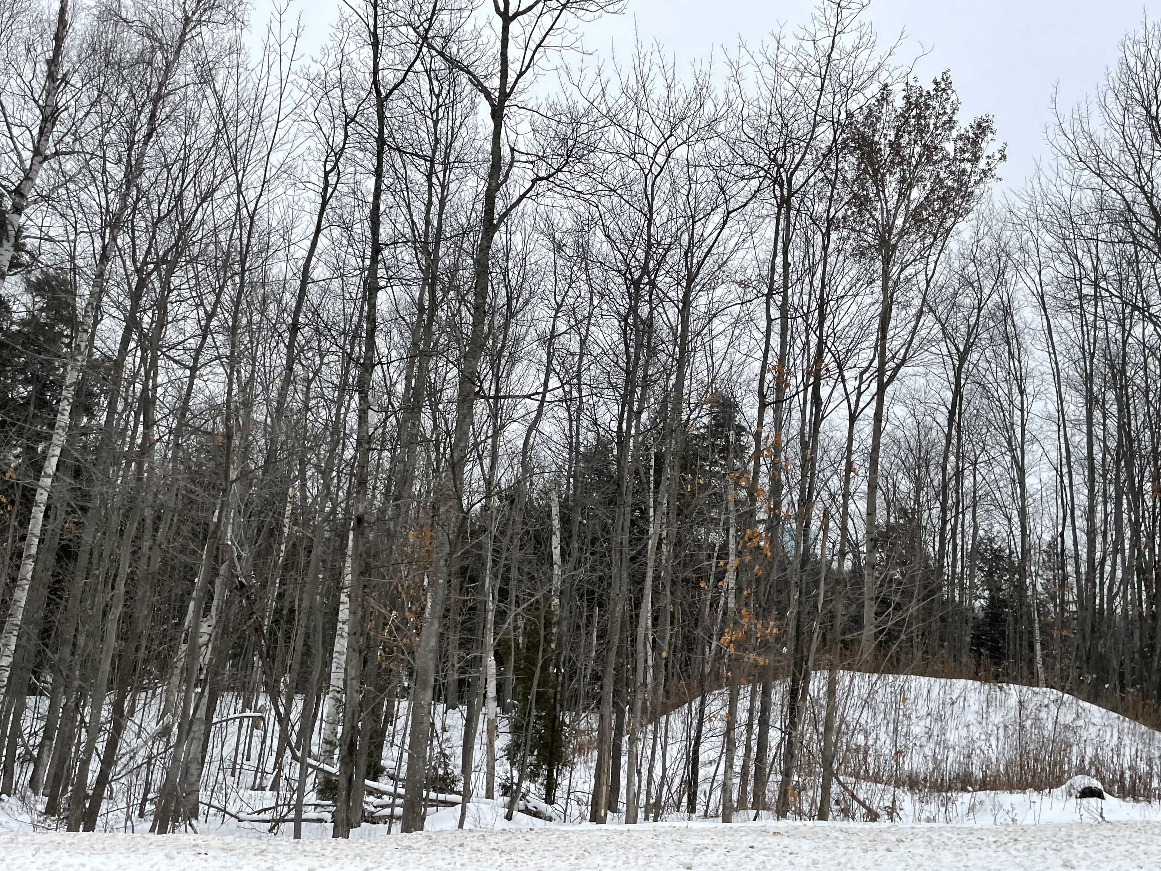 740 Grove Street, Marquette, MI, USA, 49855 - Thumbnail 2