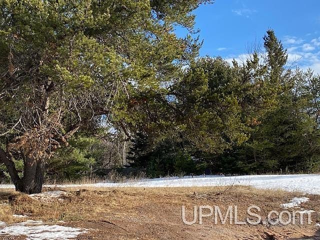 Us Highway 41 S Skandia, MI 49885 - Thumbnail 2