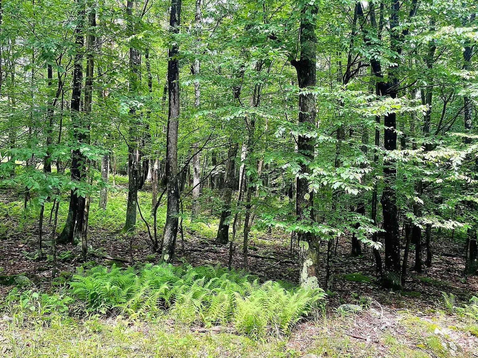 120 Hemlock Cir Terra Alta, WV 26764 - Thumbnail 2