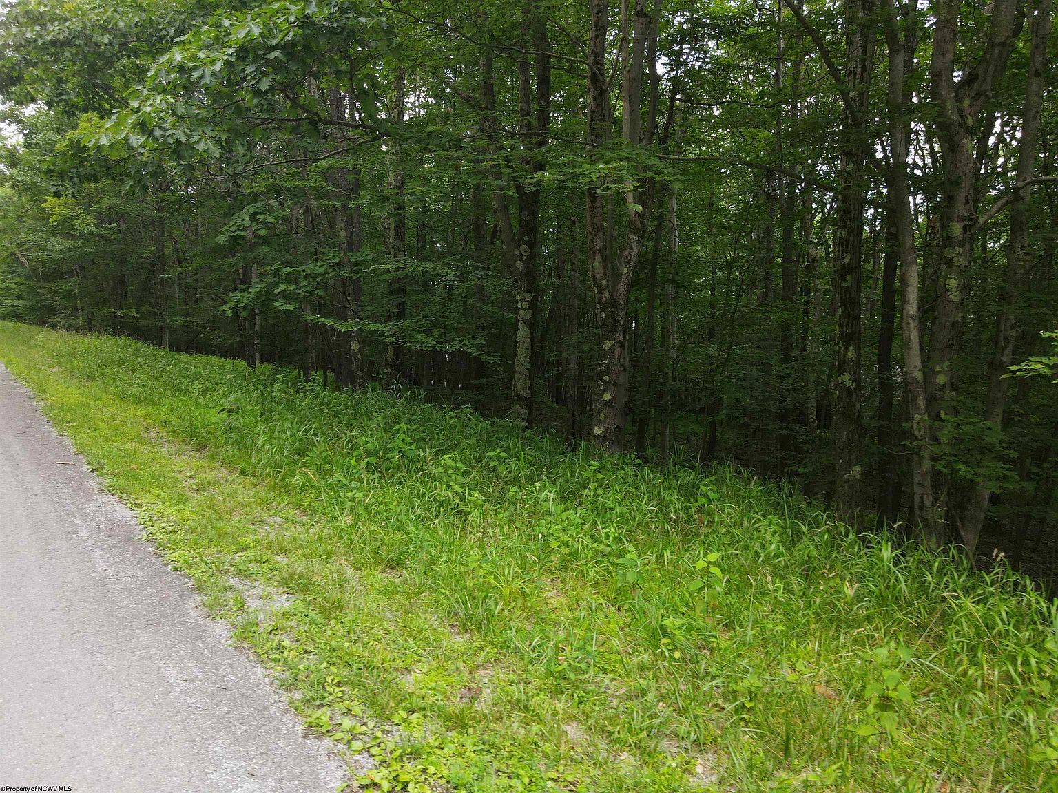 138 Day Lily Cir Terra Alta, WV 26764 - Thumbnail 2