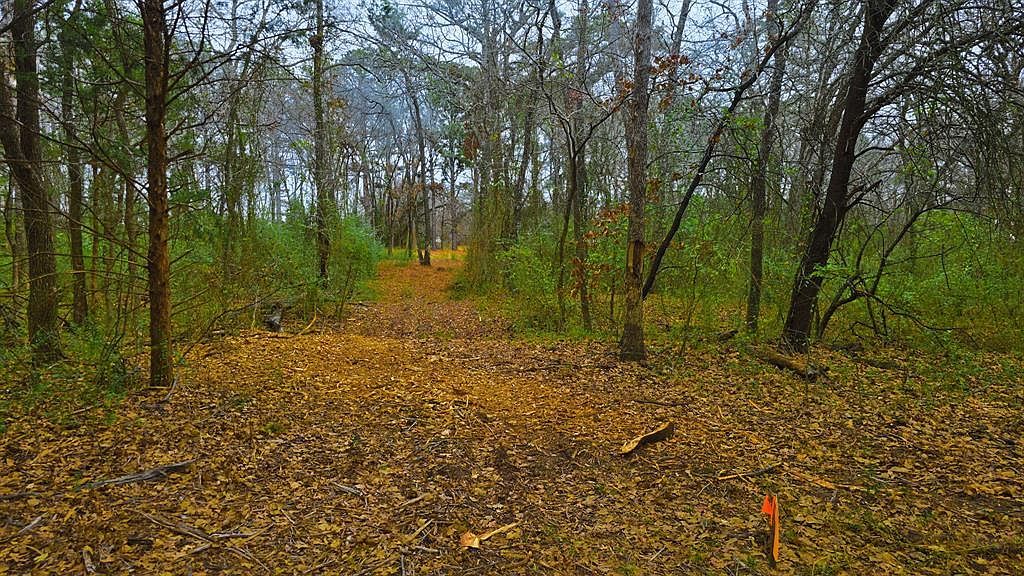 1325 Firefly Ln LOT 2 Ardmore, OK 73401 - Thumbnail 2