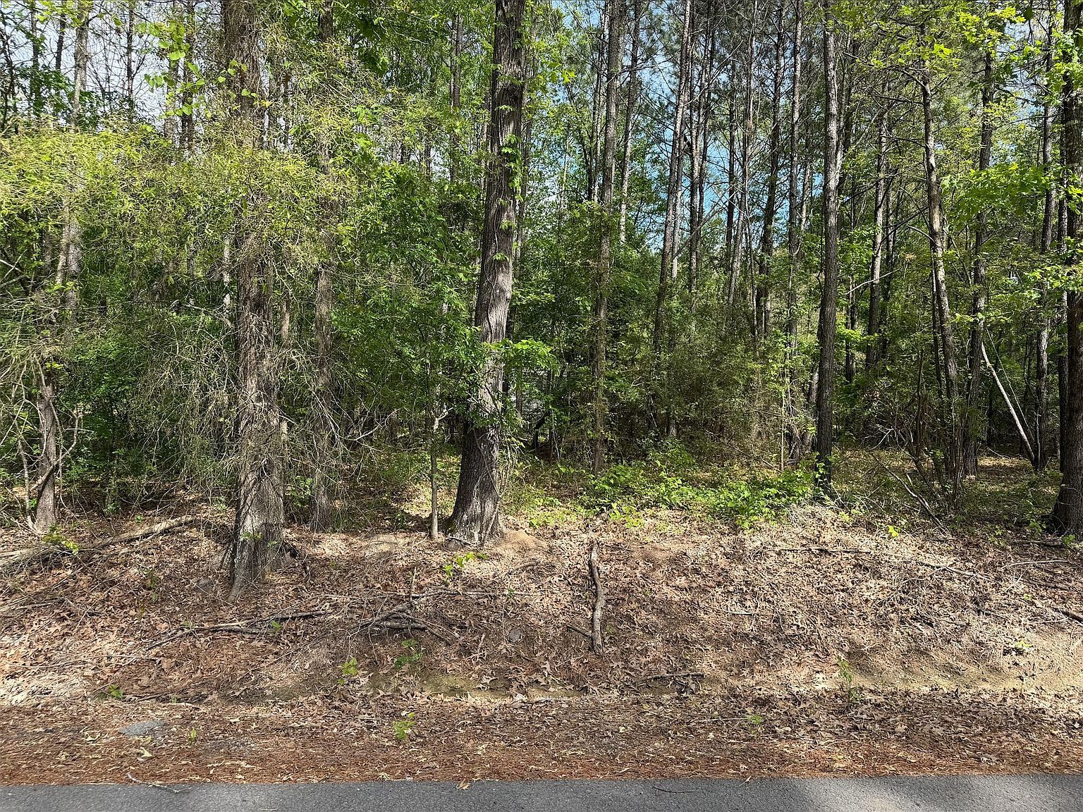 0 Sandwood Dr Keithville, LA 71047  | Land/Lot