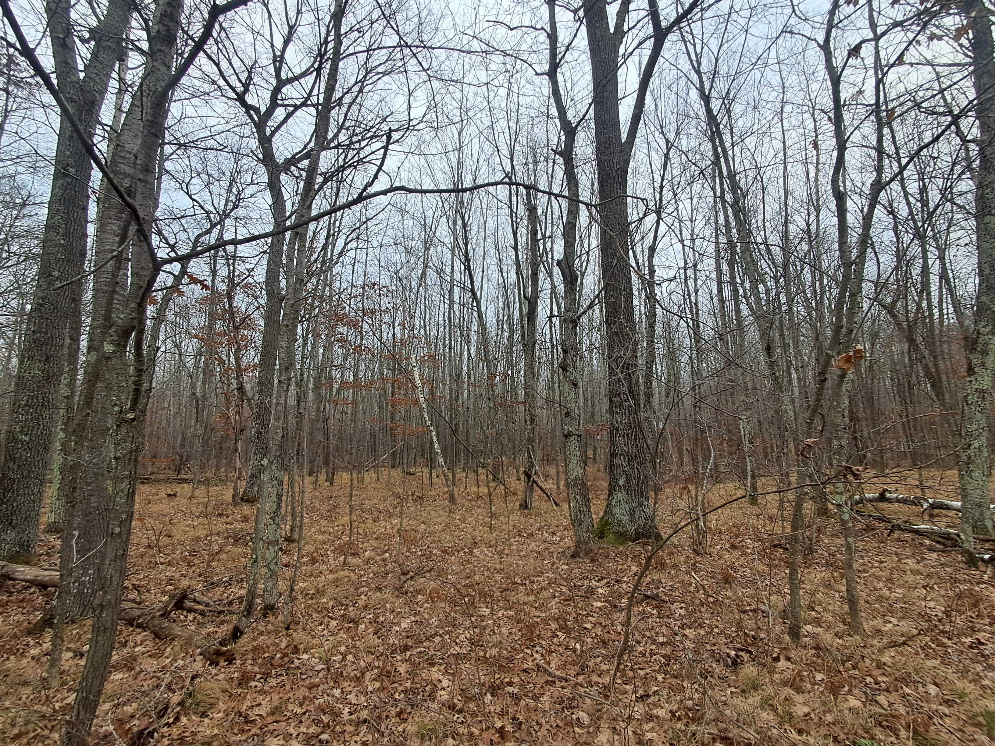 Lot 10 County Road A, Spooner, WI, 54801 - Thumbnail 2
