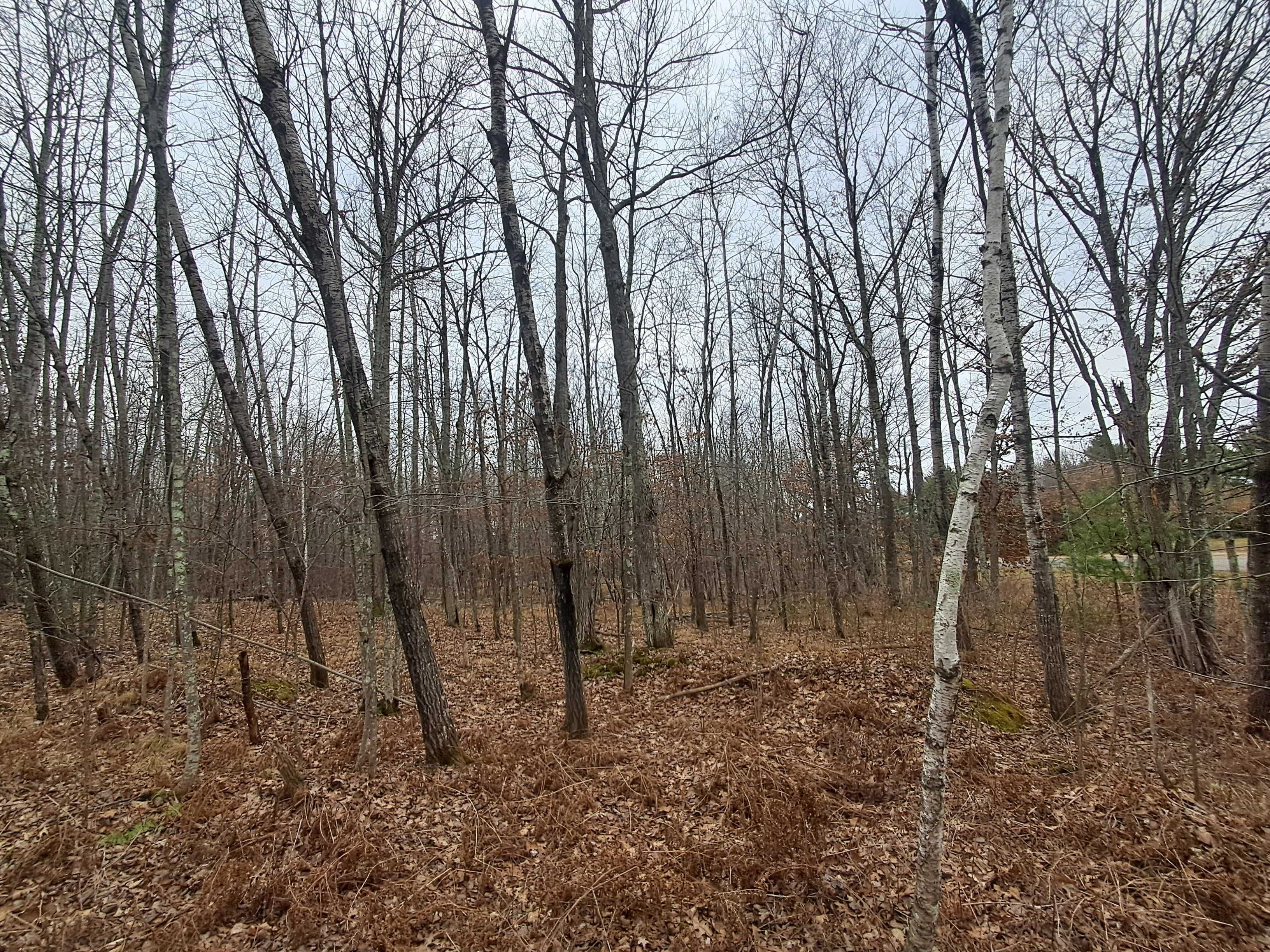 Lot 11 County Road A, Spooner, WI, 54801 - Thumbnail 2