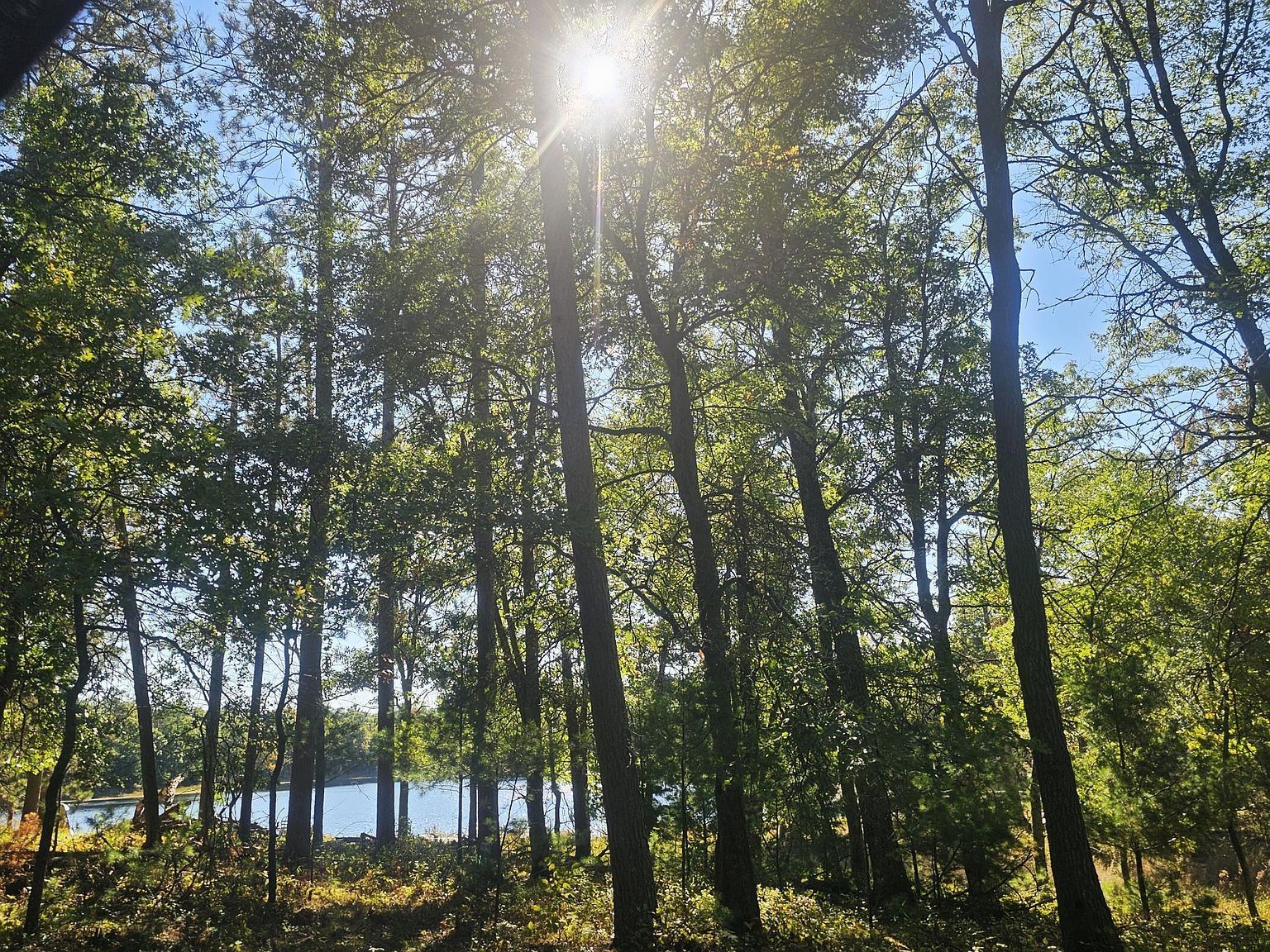 County Road H Rd Danbury, WI 54830 - Thumbnail 2