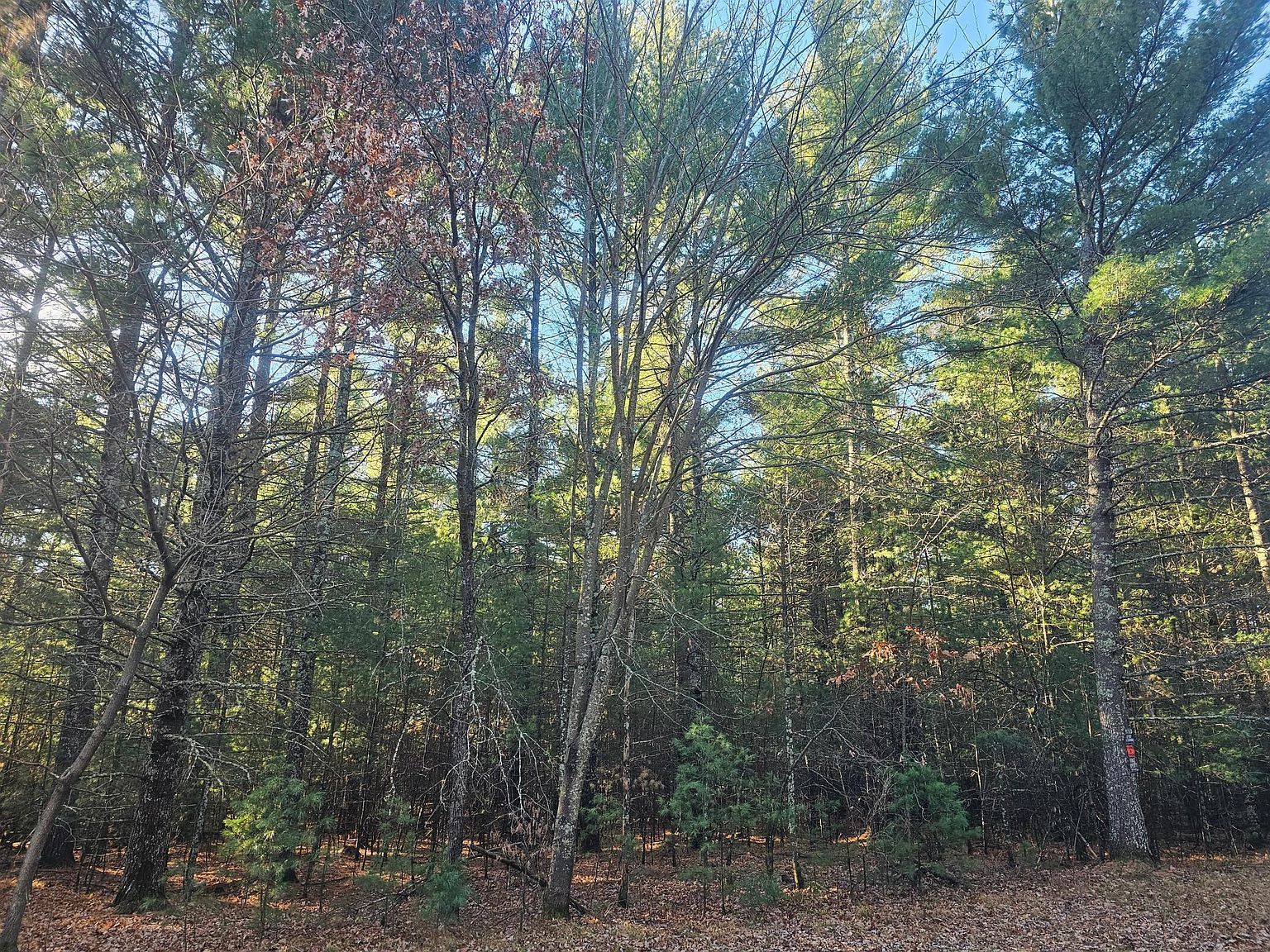 Harmon Ave E Grantsburg, WI 54840 - Thumbnail 2