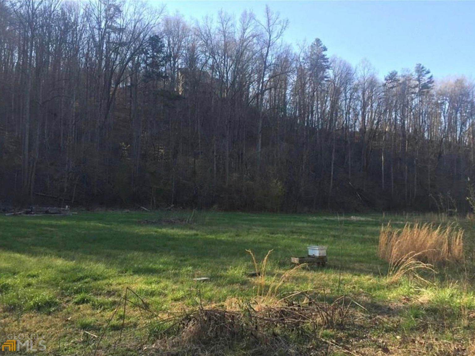 0 Gold Crest Dr Dahlonega, GA 30533 - Thumbnail 2