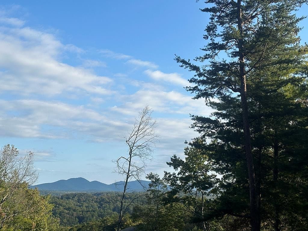 LOT 44 Ridgeline Ln Mineral Bluff, GA 30559 - Thumbnail 2