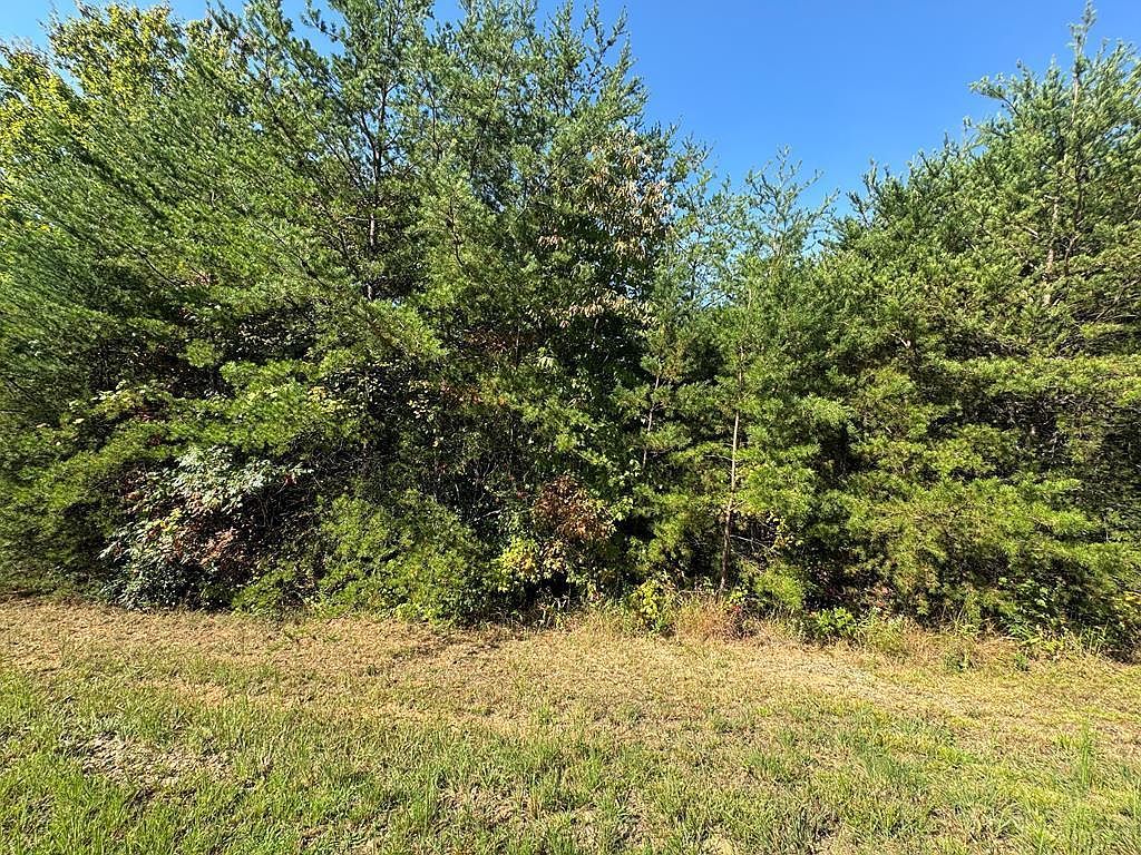 115 Blackhawk Ln Turtletown, TN 37391  | Land/Lot