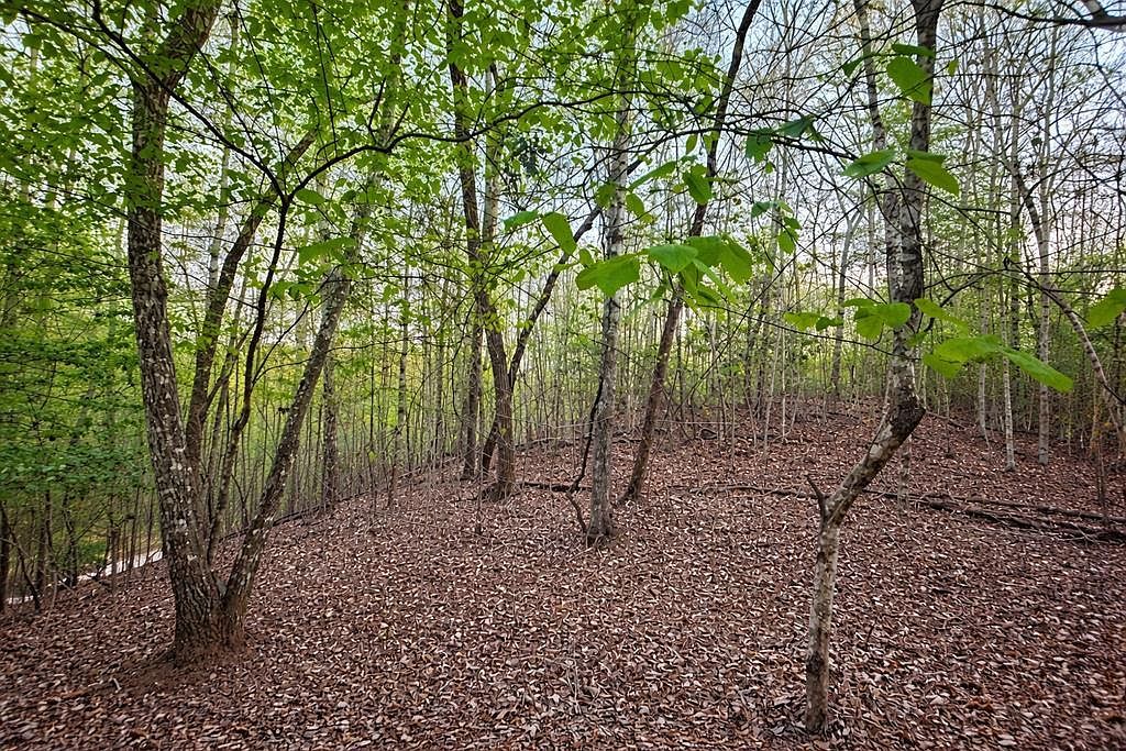 LOT 5 Riverbend Mnr Blue Ridge, GA 30513  | Land/Lot