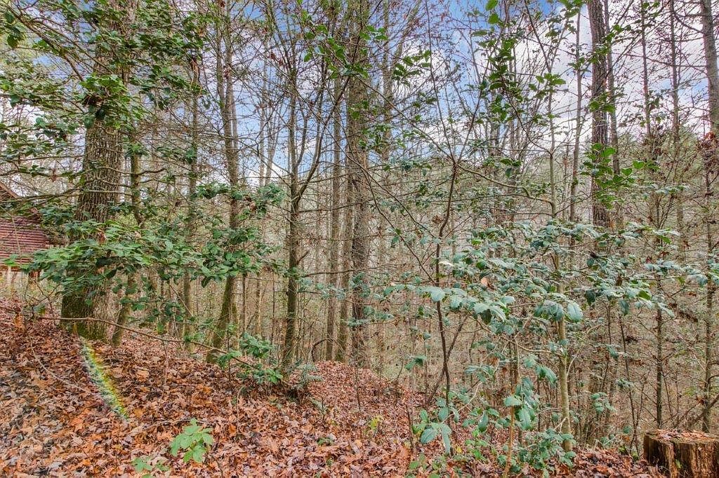 LOT 2 Laurel Overlook Rd Ellijay, GA 30540, 30540